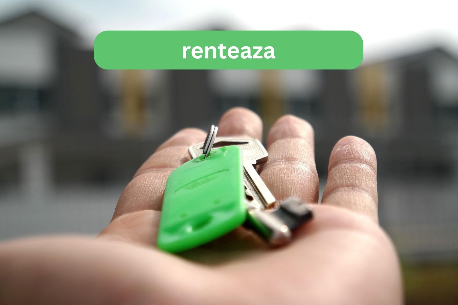 renteaza