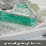 spore syringe straight to spawn