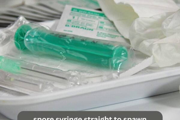 spore syringe straight to spawn