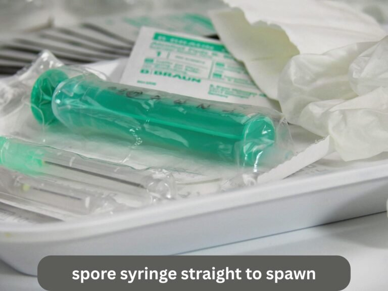 spore syringe straight to spawn