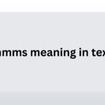 nmms meaning in text