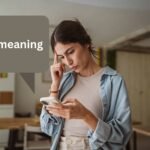STSU meaning